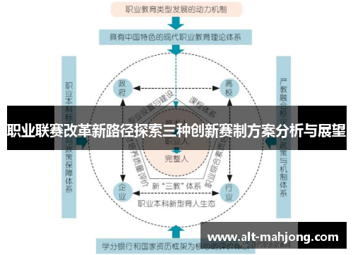 职业联赛改革新路径探索三种创新赛制方案分析与展望