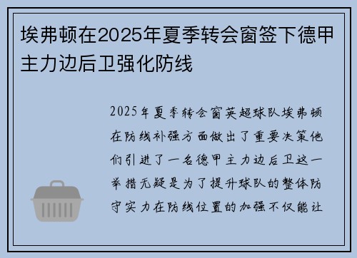 埃弗顿在2025年夏季转会窗签下德甲主力边后卫强化防线 埃弗顿在2025年夏季转会窗签下德甲主力边后卫强化防线